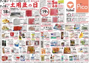 江津市でのピコのカタログ | ピコ チラシ | 2025-07-18T00:00:00.000Z - 2025-07-19T00:00:00.000Z