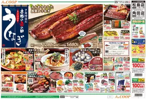 岩沼市でのみやぎ生活協同組合のカタログ | 割引とプロモーション | 2025-07-17T00:00:00.000Z - 2025-07-20T00:00:00.000Z