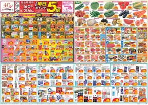河内長野市でのクスリのアオキのカタログ | 今すぐ私たちの取引で節約 | 2025-07-16T00:00:00.000Z - 2025-07-22T00:00:00.000Z