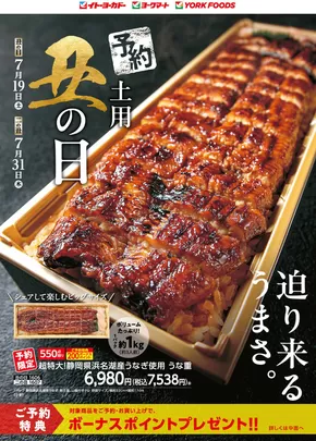 八王子市でのイトーヨーカドーのカタログ | すべてのお客様のためのトップディール | 2025-07-17T00:00:00.000Z - 2025-07-23T00:00:00.000Z