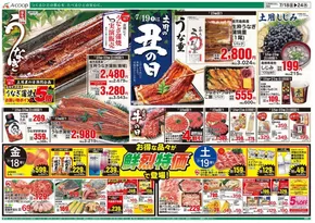 三浦市でのAコープ西日本のカタログ | すべての人のための魅力的な特別オファー | 2025-07-18T00:00:00.000Z - 2025-07-24T00:00:00.000Z