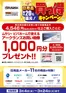 堺市でのホームセンタームサシのカタログ | 日用品メーカー11社合同買っ得キャンペーン | 2026-03-03T00:00:00.000Z - 2026-03-24T00:00:00.000Z