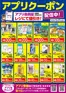 カンセキのカタログ | 選ばれた製品の素晴らしい割引 | 2026-05-01T00:00:00.000Z - 2026-05-31T00:00:00.000Z