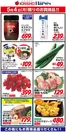 ハーベスのカタログ | 5/4限りのお買得品！ | 2026-05-03T00:00:00.000Z - 2026-05-04T00:00:00.000Z
