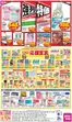 玉名郡でのゆめタウンのカタログ | 豊富なオファーの選択 | 2026-05-03T00:00:00.000Z - 2026-05-31T00:00:00.000Z