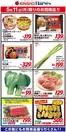 ハーベスのカタログ | 5/11限りのお買得品! | 2026-05-10T00:00:00.000Z - 2026-05-11T00:00:00.000Z