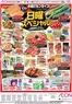 イオンのカタログ | イオン チラシ | 2026-05-14T00:00:00.000Z - 2026-05-17T00:00:00.000Z