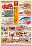 ヤマナカのカタログ | 排他的な掘り出し物 | 2026-04-21T00:00:00.000Z - 2026-05-20T00:00:00.000Z