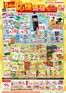 たいらやのカタログ | 豊富なオファーの選択 | 2026-05-01T00:00:00.000Z - 2026-05-31T00:00:00.000Z