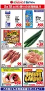 ハーベスのカタログ | 5/18限りのお買得品! | 2026-05-17T00:00:00.000Z - 2026-05-18T00:00:00.000Z