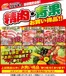 ウェルネスのカタログ | 523526 ウェルネス生鮮LINEチラシ-12 | 2026-05-22T00:00:00.000Z - 2026-05-26T00:00:00.000Z