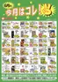 スターのカタログ | 割引とプロモーション | 2026-06-01T00:00:00.000Z - 2026-06-30T00:00:00.000Z