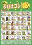 スターのカタログ | 今すぐ私たちの取引で節約 | 2026-06-01T00:00:00.000Z - 2026-06-30T00:00:00.000Z