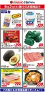ハーベスのカタログ | 6/2限りのお買得品！ | 2026-06-01T00:00:00.000Z - 2026-06-02T00:00:00.000Z