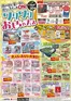 アピタのカタログ | 魅力的なオファーを発見する | 2026-06-03T00:00:00.000Z - 2026-06-30T00:00:00.000Z