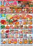 ダイイチのカタログ | ダイイチ チラシ | 2026-06-08T00:00:00.000Z - 2026-06-09T00:00:00.000Z