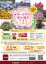 市原市でのDCMのカタログ | DCM チラシ | 2026-06-08T00:00:00.000Z - 2026-07-12T00:00:00.000Z