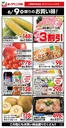 ヨークベニマルのカタログ | 選ばれた製品の素晴らしい割引 | 2026-06-09T00:00:00.000Z - 2026-06-09T00:00:00.000Z