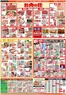 ビッグハウスのカタログ | 豊富なオファーの選択 | 2026-06-08T00:00:00.000Z - 2026-06-12T00:00:00.000Z