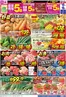 安芸高田市でのゆめタウンのカタログ | 排他的な取引と掘り出し物 | 2026-06-13T00:00:00.000Z - 2026-06-16T00:00:00.000Z