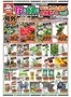忍野村でのハンズマンのカタログ | 花と緑と暮らしの必需品大特価セールPart3 | 2026-06-19T00:00:00.000Z - 2026-06-22T00:00:00.000Z