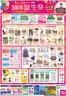 ゆめタウンのカタログ | 私たちの最高の掘り出し物 | 2026-06-24T00:00:00.000Z - 2026-06-28T00:00:00.000Z