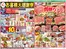 ビッグハウスのカタログ | ビッグハウス チラシ | 2026-06-26T00:00:00.000Z - 2026-06-29T00:00:00.000Z