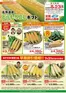 北雄ラッキーのカタログ | 2026toumorokoshigift | 2026-07-01T00:00:00.000Z - 2026-08-23T00:00:00.000Z