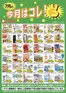 スターのカタログ | 現在の特別プロモーション | 2026-07-01T00:00:00.000Z - 2026-07-31T00:00:00.000Z