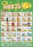 スターのカタログ | すべてのお客様のための素晴らしいオファー | 2026-07-01T00:00:00.000Z - 2026-07-31T00:00:00.000Z