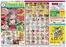 ハイマートのカタログ | 選ばれた製品の素晴らしい割引 | 2026-06-26T00:00:00.000Z - 2026-07-12T00:00:00.000Z