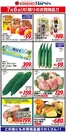 ハーベスのカタログ | 7/6限りのお買得品! | 2026-07-05T00:00:00.000Z - 2026-07-06T00:00:00.000Z