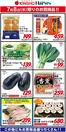 ハーベスのカタログ | 7/8限りのお買得品! | 2026-07-07T00:00:00.000Z - 2026-07-08T00:00:00.000Z