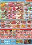 スーパーセンタープラントのカタログ | 豊富なオファーの選択 | 2026-07-11T00:00:00.000Z - 2026-07-14T00:00:00.000Z