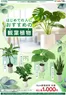 カインズホームのカタログ | 観葉植物 723号 | 2026-07-22T00:00:00.000Z - 2026-08-03T00:00:00.000Z