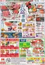 ハローズのカタログ | 私たちの最高の掘り出し物 | 2026-08-08T00:00:00.000Z - 2026-09-01T00:00:00.000Z
