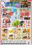 コモディイイダのカタログ | 排他的な掘り出し物 | 2026-08-11T00:00:00.000Z - 2026-08-16T00:00:00.000Z