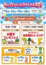 アピタのカタログ | 排他的な取引と掘り出し物 | 2026-08-30T00:00:00.000Z - 2026-09-26T00:00:00.000Z