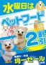 セイミヤのカタログ | セイミヤ チラシ | 2026-09-02T00:00:00.000Z - 2026-09-16T00:00:00.000Z