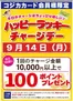 S東美のカタログ | 魅力的なオファーを発見する | 2026-09-14T00:00:00.000Z - 2026-09-14T00:00:00.000Z