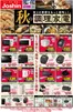 千葉市でのジョーシンのカタログ | 最新のお買い得チラシ 3 | 2026-09-04T00:00:00.000Z - 2026-09-11T00:00:00.000Z