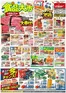 バローのカタログ | 発見するための新しいオファー | 2026-09-12T00:00:00.000Z - 2026-09-13T00:00:00.000Z