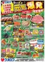 ウオロクのカタログ | 魅力的なオファーを発見する | 2026-09-12T00:00:00.000Z - 2026-09-30T00:00:00.000Z