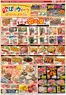 ピアゴのカタログ | 9月17日(木)-9月27日(日) | 2026-09-16T00:00:00.000Z - 2026-09-27T00:00:00.000Z