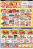 アルビスのカタログ | 掘り出し物ハンターのためのオファー | 2026-09-20T00:00:00.000Z - 2026-09-20T00:00:00.000Z