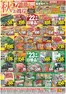 ダイイチのカタログ | 豊富なオファーの選択 | 2026-09-22T00:00:00.000Z - 2026-09-23T00:00:00.000Z