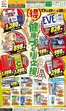 ジャパンのカタログ | 豊富なオファーの選択 | 2026-09-22T00:00:00.000Z - 2026-09-28T00:00:00.000Z