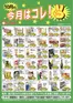 スターのカタログ | 排他的な掘り出し物 | 2026-10-01T00:00:00.000Z - 2026-10-31T00:00:00.000Z