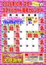 スターのカタログ | スター チラシ | 2026-10-01T00:00:00.000Z - 2026-10-31T00:00:00.000Z