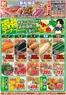 新発田市でのダイレックスのカタログ | すべての人のための魅力的な特別オファー | 2026-10-07T00:00:00.000Z - 2026-10-21T00:00:00.000Z